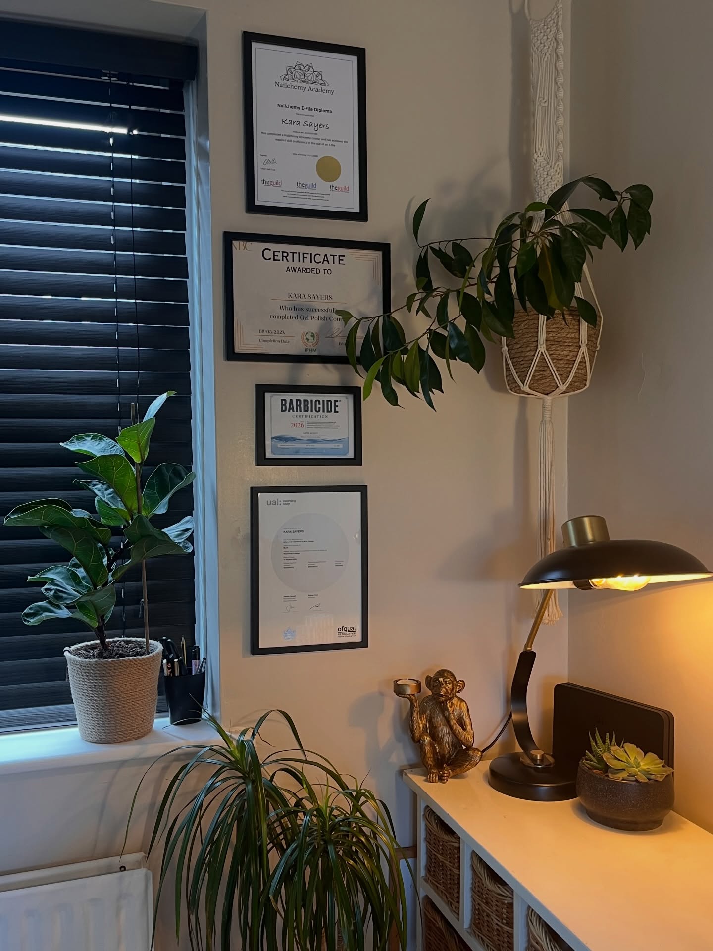 Kara's professional certificates and qualifications